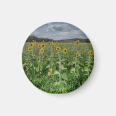 "Sunflower Field" Magnet (Vorne)