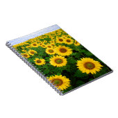 SuNFLoWER FiELD Notizblock (Rechte Seite)