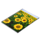 SuNFLoWER FiELD Notizblock (Linke Seite)