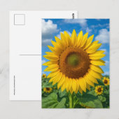 SUNFLOWER FIELD POSTCARD POSTKARTE (Vorne/Hinten)