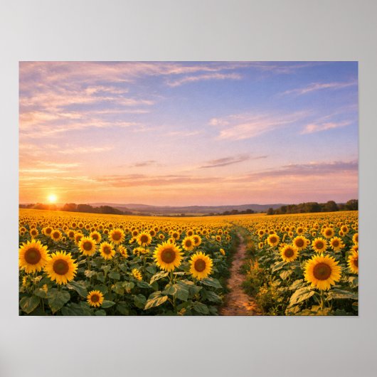 Sunflower Field Sunset Landscape Poster (Vorne)