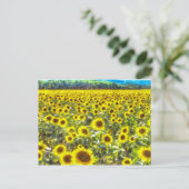 Sunflower Field Vincent Van Gogh Postkarte (Stehend Vorderseite)
