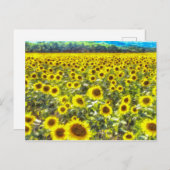 Sunflower Field Vincent Van Gogh Postkarte (Vorne/Hinten)