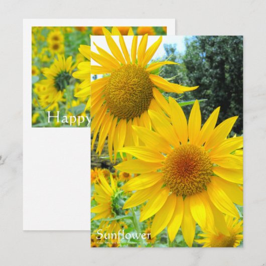 Sunflower:Flat Greeting Card Karte (Vorne/Hinten)