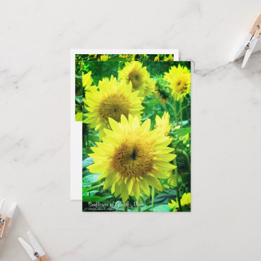 Sunflower:Flat Greeting Card Karte (Vorderseite/Rückseite Beispiel)