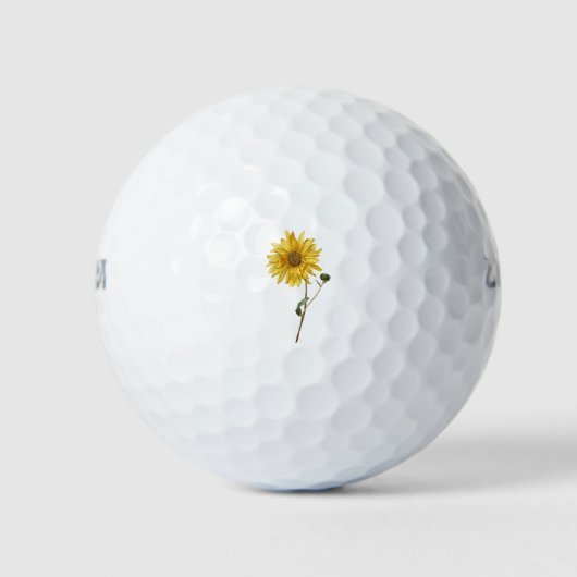 Sunflower Flower Plant Blossom Bloom Golfball (Vorderseite)