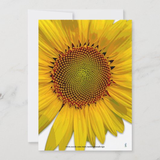 SUNFLOWER FOTO GLÜCKLICH GEBURTSTAG EINLADUNG (Rückseite)