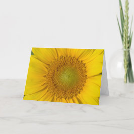 Sunflower Gold Center Karte
