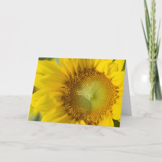 Sunflower Gold Shadow Karte (Vorderseite)