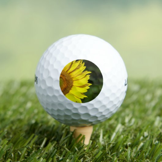 Sunflower Golfball (Insitu T-Shirt)