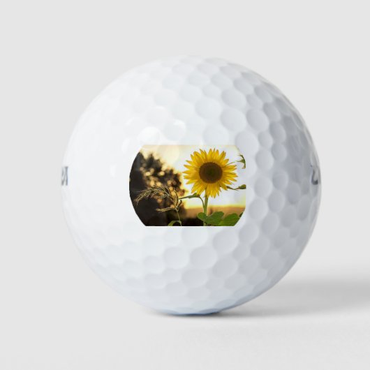 ***SUNFLOWER*** GOLFBALL (Vorderseite)