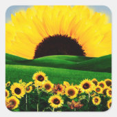 SUNFLOWER HILL QUADRATISCHER AUFKLEBER (Vorderseite)