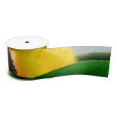 SUNFLOWER HILL SATINBAND (Spule)