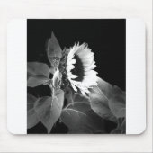 Sunflower in Black and White Mousepad (Vorne)