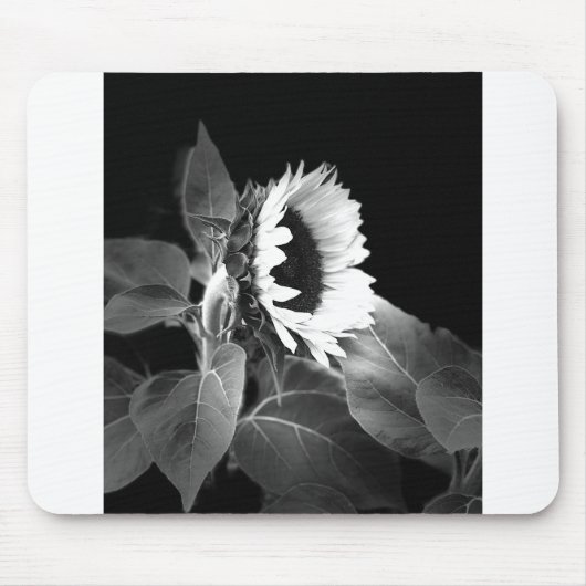 Sunflower in Black and White Mousepad (Vorne)