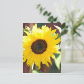 Sunflower in Full Bloom Postkarte (Stehend Vorderseite)