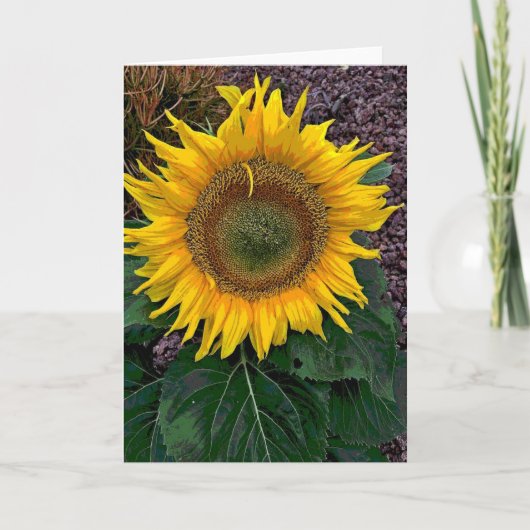 Sunflower Karte (Vorderseite)