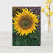 Sunflower Karte (Gelbe Blume)