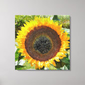 SUNFLOWER LEINWANDDRUCK (Vorderseite)