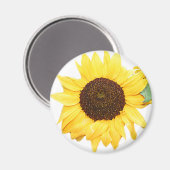 SunFlower Magnet (Vorderseite/Rückseite)