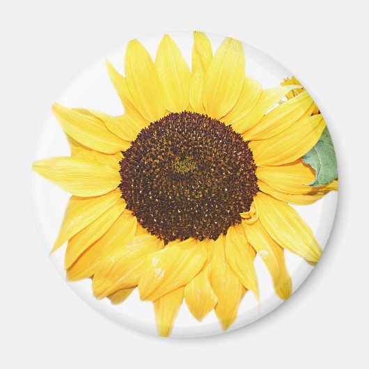 SunFlower Magnet (Vorne)