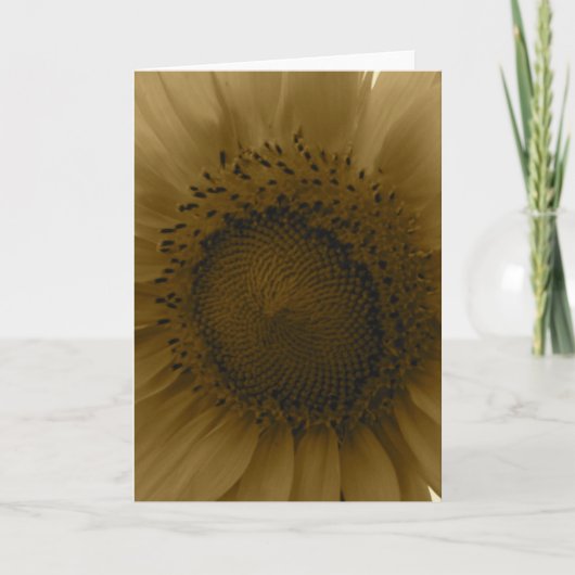 Sunflower Notecard Karte (Vorderseite)