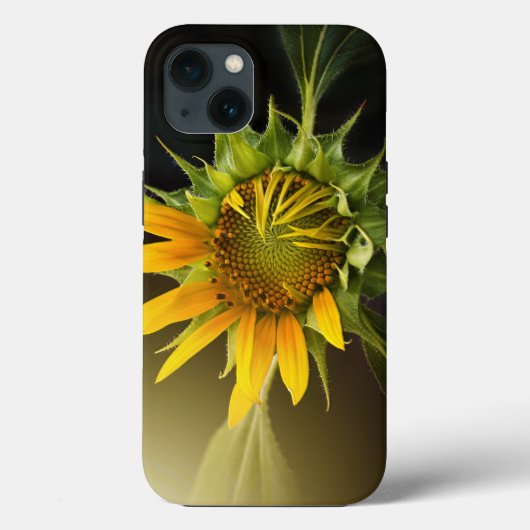Sunflower Opening in Full Bloom Case-Mate iPhone Hülle (Rückseite)