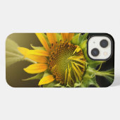 Sunflower Opening in Full Bloom iPhone Hülle (Rückseite (Horizontal))