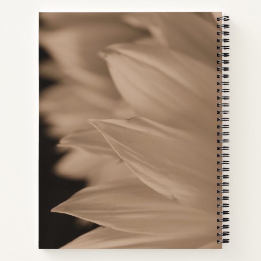 Sunflower Petals in Sepia Tone Notizblock (Rückseite)