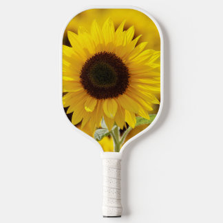 SUNFLOWER PICKLE BALL PADDLE