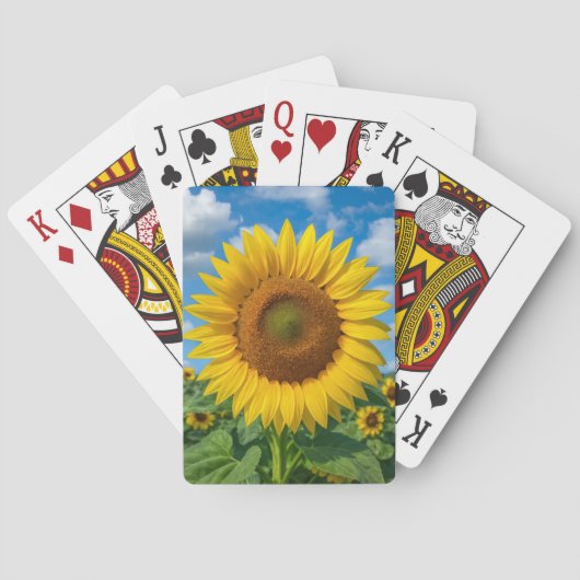 SUNFLOWER PLAYING CARDS SPIELKARTEN (Rückseite)