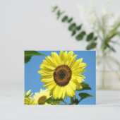 SUNFLOWER POST CARD Summer Blume Postkarte (Stehend Vorderseite)
