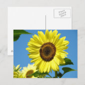 SUNFLOWER POST CARD Summer Blume Postkarte (Vorne/Hinten)