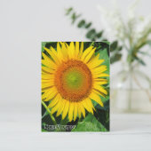 Sunflower :Postcard Postkarte (Stehend Vorderseite)