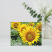 Sunflower :Postcard Postkarte (Stehend Vorderseite)