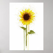 Sunflower Poster (Vorne)
