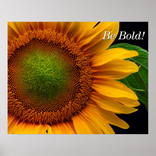 Sunflower Poster