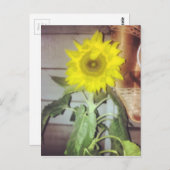 #sunflower postkarte (Vorne/Hinten)
