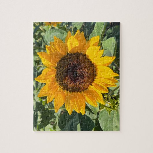 Sunflower Puzzle (Vertikal)