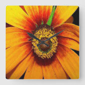 Sunflower quadratische wanduhr (Vorderseite)