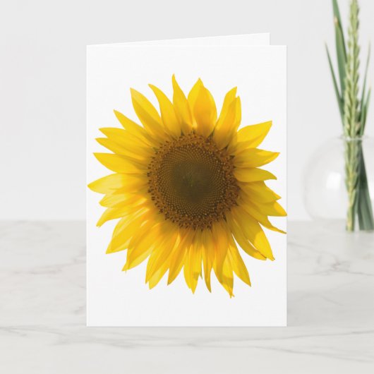 Sunflower quote "flowers are happiness" karte (Vorderseite)