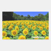 Sunflower：Rectangle Seal Rechteckiger Aufkleber (Vorderseite)