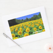 Sunflower：Rectangle Seal Rechteckiger Aufkleber (Umschlag)