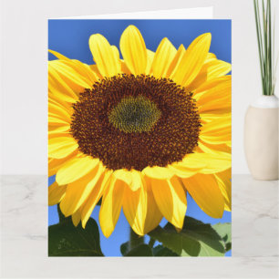 SUNFLOWER Religious BEILEID GREETING CARD Karte
