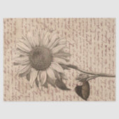 Sunflower Script Ephemera Decoupage Seidenpapier (Vorderseite)