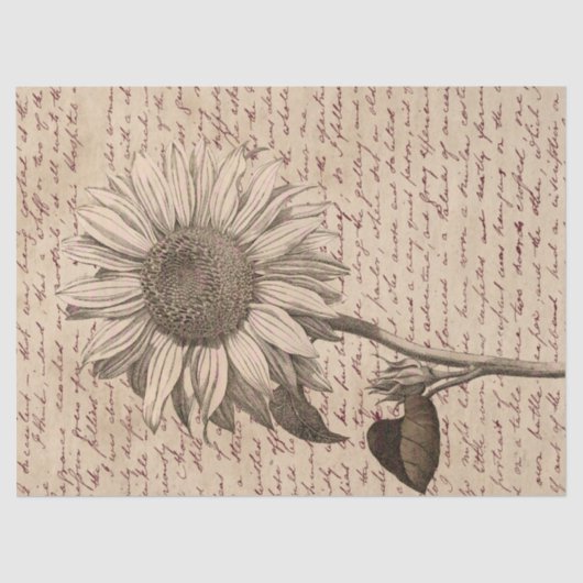 Sunflower Script Ephemera Decoupage Seidenpapier (Vorderseite)