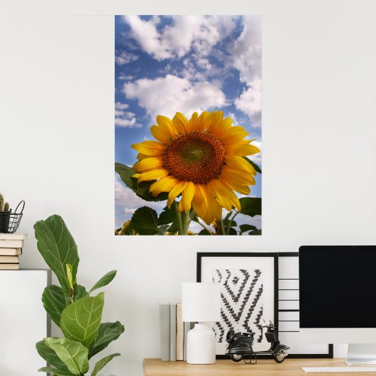Sunflower Sky Poster (Heimbüro)