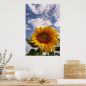 Sunflower Sky Poster (Küche)