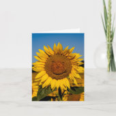 Sunflower Smile Karte (Vorderseite)