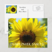 SUNFLOWER SMILES Postkarten Blume der Sonne (Vorne/Hinten)